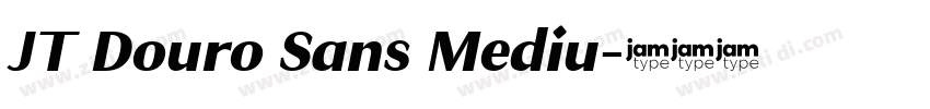 JT Douro Sans Mediu字体转换